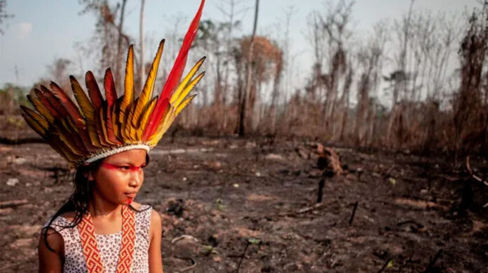 indigena brasil violencia