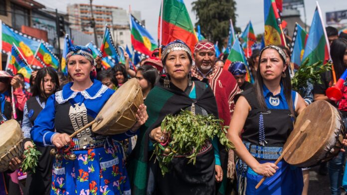 mapuches indigenas