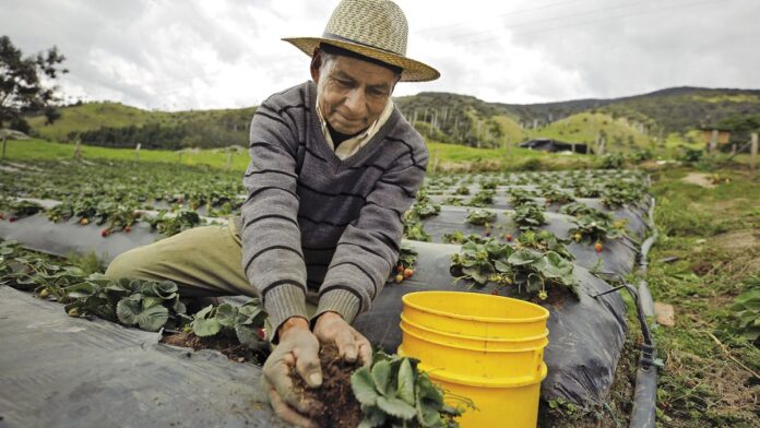 Colombia reforma agraria