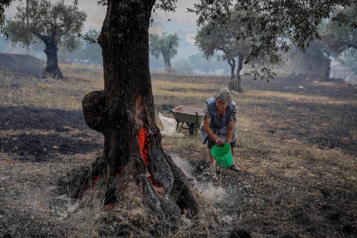 Ola de calor portugal